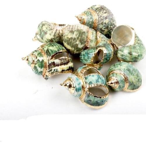 Gold Plated Natural Green Spiral Sea Shells for DIY handmade charms Jewelry Craft Decoration 5pcs 20-30mm