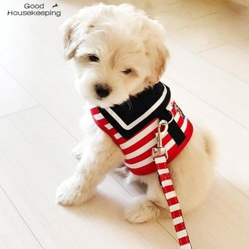 Adjustable Dog Collar Harness Leash Creative Navy Suit Style Chest Strap Secure Traction Rope for Small Medium Dogs Cats