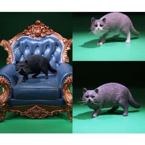 1/6 MRZ040 British Shorthair Cat Model Cute Pet Statue Fit 12'' Action Figure Dolls