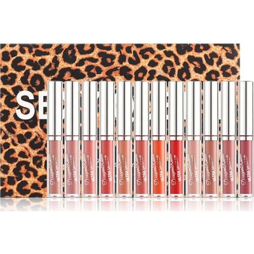 12 Colors Lip Gloss Set Matte Pigments Liquid Lipstick Makeup Set Waterproof Long Lasting Lipgloss Makeup Sexy Lip Tint Glaze