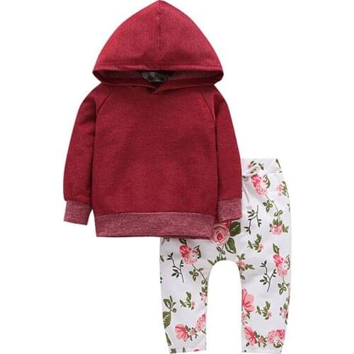 0-3 Years Baby Kids Spring Autumn Wear Girls Cotton Hoodies+Printed Pant 2pcs Suit Warm Hoodies clothing Mobile Phone Straps