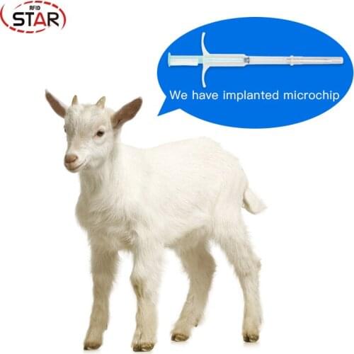 20pcs Fish Dog RFID Animal Id Pets Microchips Veterinary Syringe 1.25*7mm ISO11784/785 FDX-B 134.2KHz Syringe For Cat Dog,Snake