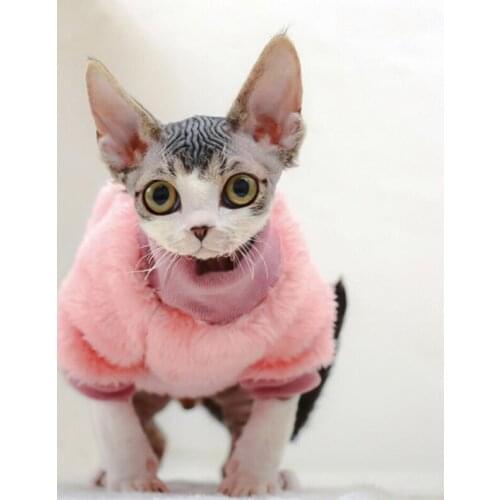 Miss Doggy Clothes For Cats