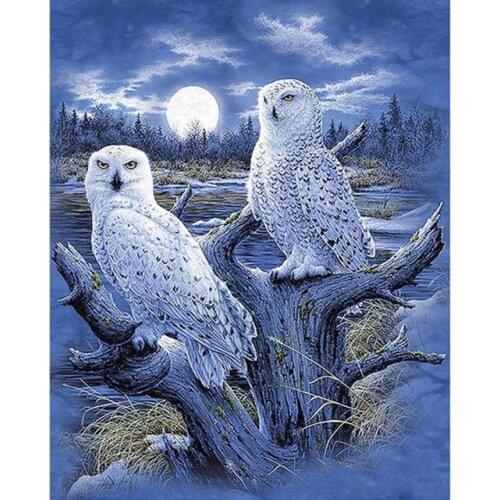 5D DIY Diamond Painting Kits Owl Full Round With AB Drill Diamond Embroidery Animal Mosaic Art Picture of Rhinestones Decor Gift
