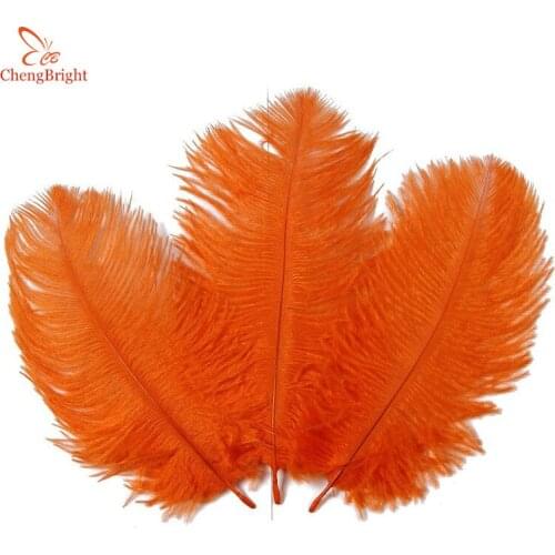 ChengBright 100Pcs/Lot Orange Natural Ostrich Feather For Crafts 15-70CM Carnival Costumes Party Home Wedding Decorations Plumes