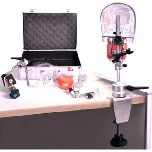 Dental simulator Nissin manikin phantom head Dental phantom head model with new style bench mount for dentist education
