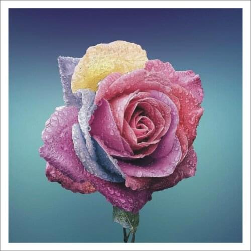 5D DIY full diamond square diamond painting cross stitch diamond embroidery rose flower home decoration mural gift T206