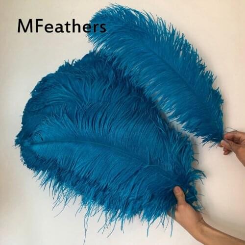 50PC/Lot Big Pole A Quality Ostrich Feathers 40cm to 75cm Long Natural Ostirch Plumages DIY Wedding Vase Home Hotel Decorations