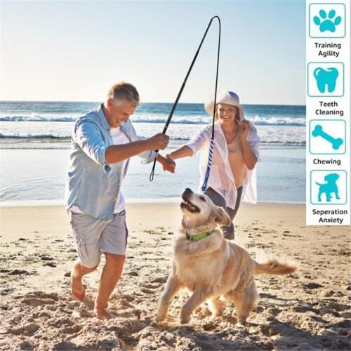 Extendable Dog Interactive Stick Funny Cat Sticks Retractable Dogs Training Rod for Outdoor Puppy Chasing Toys Pet Exerciser Toy