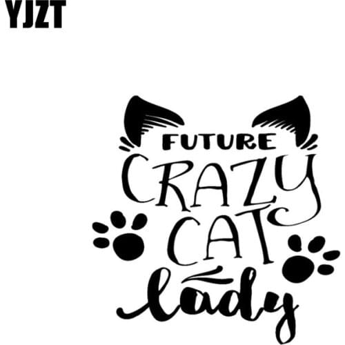 YJZT 15CM*15.2CM FUTURE CRAZY CAT Lady Vinyl Decal Funny Car Sticker Black Silver C10-02427