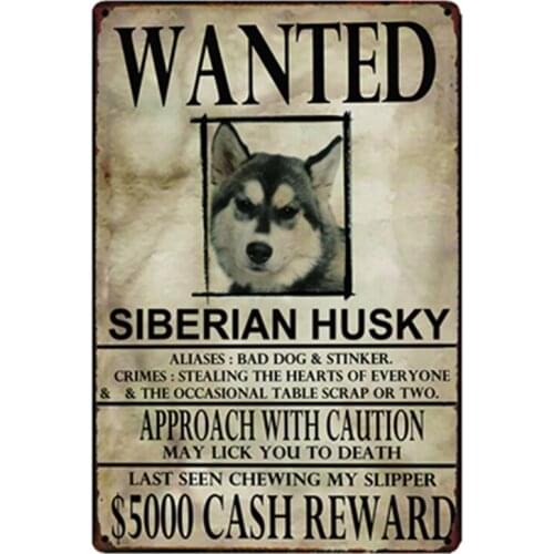 [ Kelly66 ] Siberian Husky Dogs Wanied Metal Sign Tin Poster Home Decor Bar Wall Art Painting 20*30 CM Size y-2085