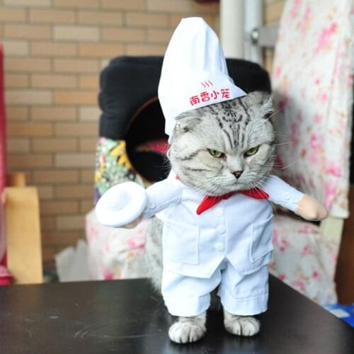 Chef Style Pet Dog Clothes Cat Costume Dog Supply