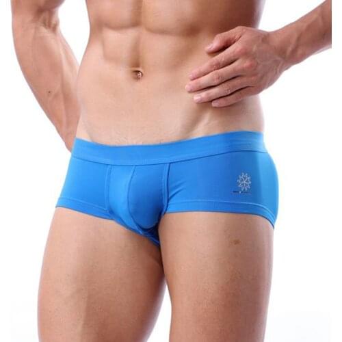 BRAVE PERSON Mens Boxer Shorts High-quality Underwear Low-waist Nylon Underpants Men Boxers Trunks ropa interior de hombre