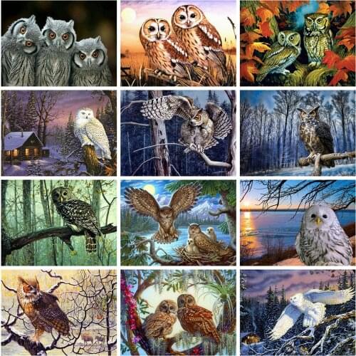 Evershine Diamond Painting Full Square Owl Diamond Embroidery Animals 5D DIY Mosaic Picture Of Rhinestone Home Decoration