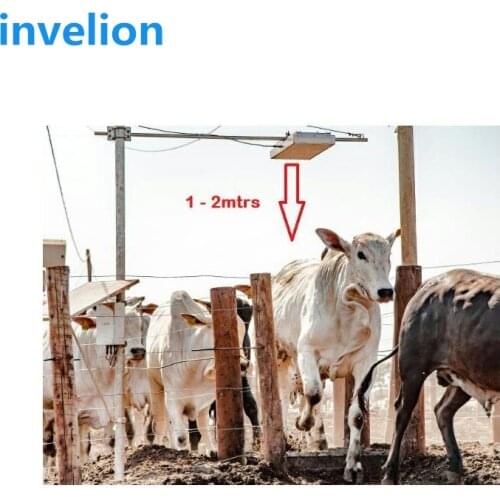 860-960MHZ UHF RFID Ear Tags for Animal Tracking (Cattle, Cow and Sheeps)