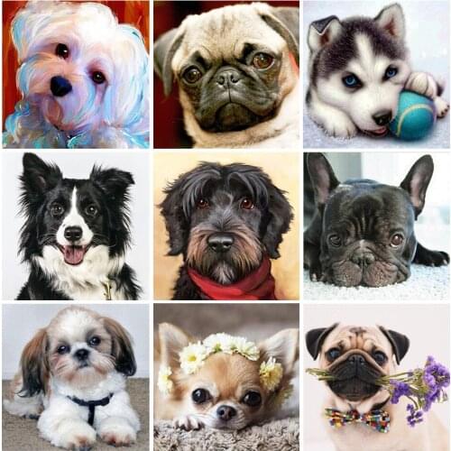 5D DIY Animal Diamond Painting Rhinestone Picture Full Square Full Diamond Embroidery Gift Mosaic Cross Stitch Decoration Kit