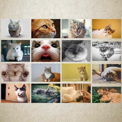 Diy Diamond Painting New Cute Animals Cat Pet Kitten Stay Cute Sofa Background Wall Painting Warm Bedroom Decoration Painting
