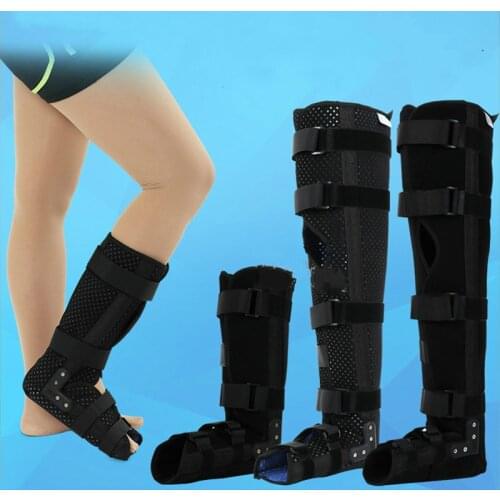 Mussels Knee Braces