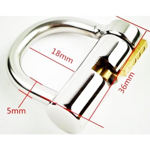 5MM Stainless Steel Lock Prince Albert Locked Chastity Piercing Titanium D-Ring PA Lock Glans Piercing PA Puncture BDSM