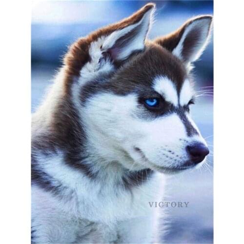 5D Diy Diamond Painting Dog Husky Full Square Round Diamond Embroidery Mosaic Animal Snow Rhinestone Kit Decor for Home