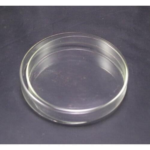 60mm Clear Glass Petri Dishes With lids Microorganisms Cell Clear Sterile Chemical Instrument Drop Shipping Petri Dishes