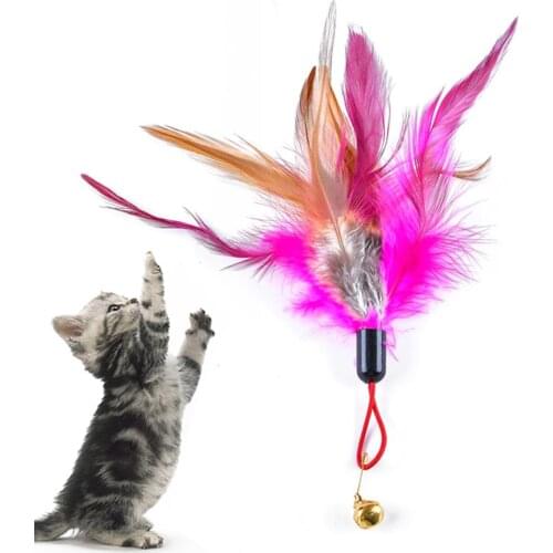 Pet Cat Feather Bell Play Stick Teaser Replace Head Scratch Interactive Toy