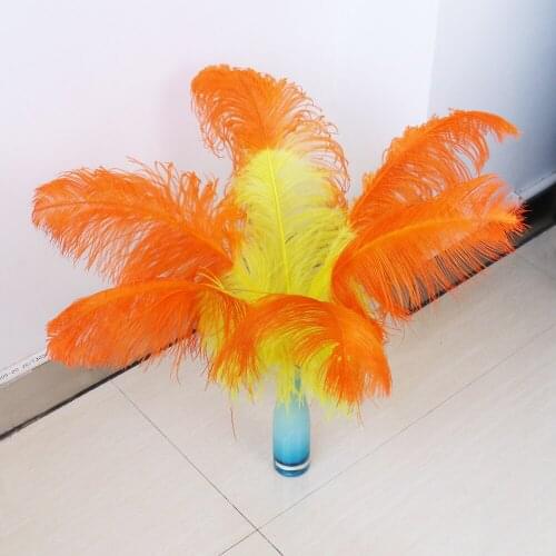 10pcs Hard Pole Natural Ostrich Feather Decorative feather for crafts 40-75 CM Wedding Home Vase Party Decorative Accessory