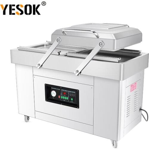 DZ-400-2SB Double chamber vacuum machine Vacuum packaging machine Commercial Wet and dry Fully automatic Vacuum machine Sealer