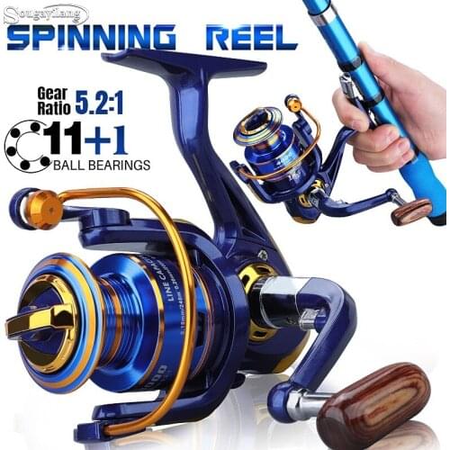 Sougayilang Fishing Reel 12BB 5.2:1 Spinning Reel 1000-4000 Left/Right Fishing Reel Freshwater Saltwater Fishing Gear