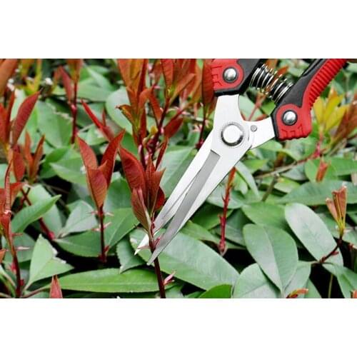50PCS Scissors Gardening Stainless Steel Branch Pruner Cutter Sharp Bypass Pruning Shears
