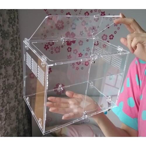 Acrylic Reptile Spider Lizard Scorpion Centipede Horned Frog Gecko Beetle chameleon Insect Breeding Box (25 * 15 * 15cm)