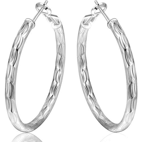 Lureme High Quality Silver Hoop Earrings Hypoallergenic Earrings Korean Female Models Cute Fish Lines Ear Jewelry (02004937)