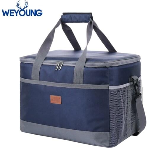 WEYOUNG Car Cooler Bags