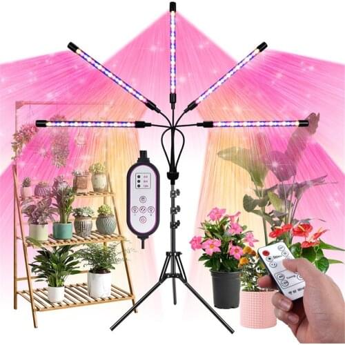 Alaberna Plant Lamps