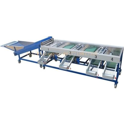 Automatic Round Potato Garlic sorting machine by size/garlic grader/grading machine for onion