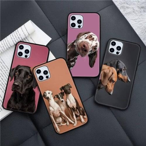 Cute Dachshund dog Phone Case for iPhone 11 12 pro XS MAX 8 7 6 6S Plus X 5S SE 2020 XR mini