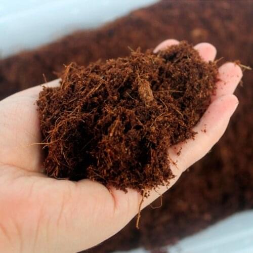 Reptile Brick Coconut Natural Bedding Pad For Amphibians Reptiles Animal Pets Supplies Substrate Safe Wet Warm Snake Turtle -HJI