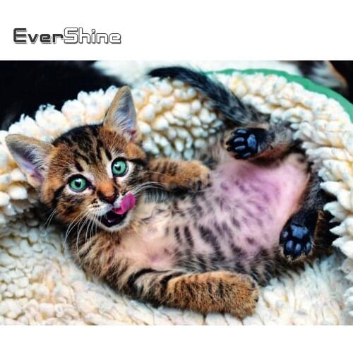 Evershine 5D DIY Diamond Embroidery Cat Cross Stitch Diamond Painting Animal Picture Of Rhinestones Mosaic Beaded Home Decor