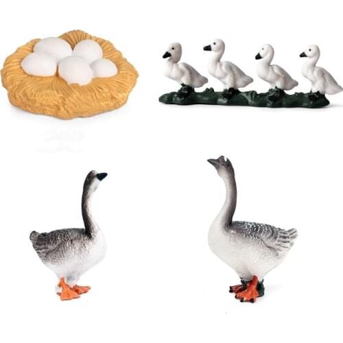 Animal Life Goose Growth Cycle Action Figure Figurine PVC Model For Kids Educational Teaching Toys