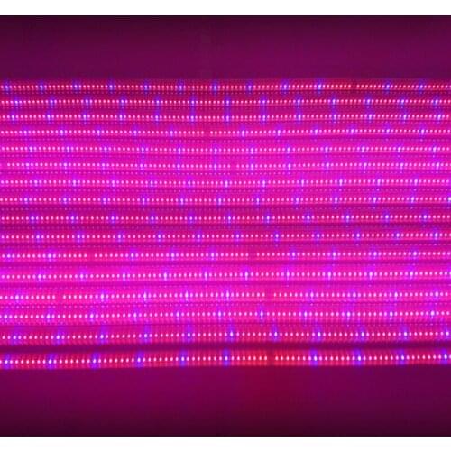 Фитолампы для растений Toika China At AliExpress