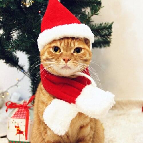 [MPK Cat Costume] Cute Christmas Hat And Neckerchief for Cats and Dogs, Get It Before Christmas