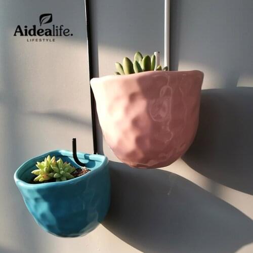Aidealife Lifestyle Flower Seeds