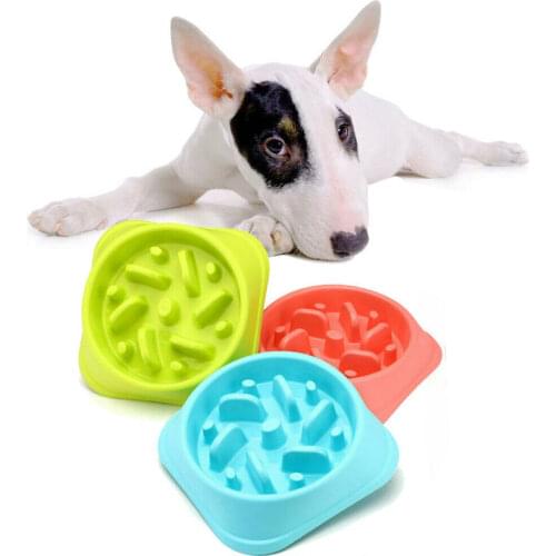 Anti-Choke Pet Dog Bowl Slow Feeder Plastic Medium Dog Bowls Blue Green Pink Anti Slip dish for Puppy cat