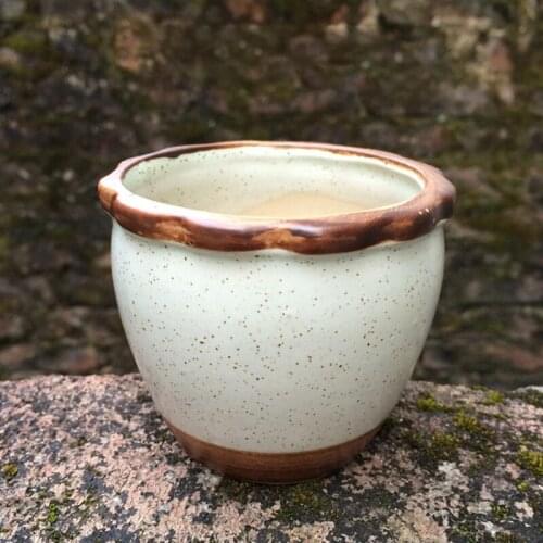Home Decor Creative Stoneware Ceramic Succulent Flower Pot Hand-painted Flow Glaze Kiln Change Thumb Succulent Potted Plant