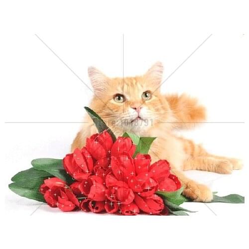 Diamond embroidery kits diy 5d diamond painting animals mosaic pattern picture of rhinestones crystals cats Home Decoration