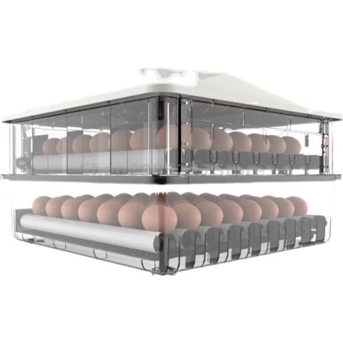 Intelligent Automatic Incubator Incubator Small Household Chicken Duck Goose Incubator Mini Pigeon Quail Incubator