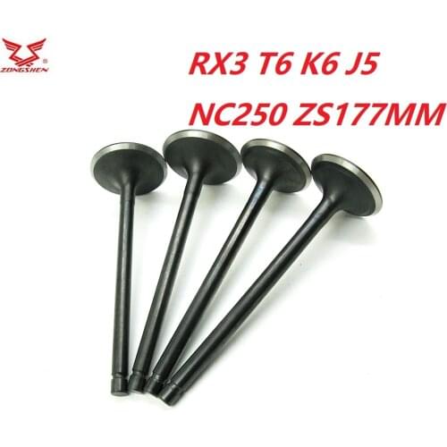 Inlet outlet Valve For ZS177MM ZONGSHEN Engine NC250 KAYO T6 BSE J5 RX3 ZS250GY-3 4 Valves Parts