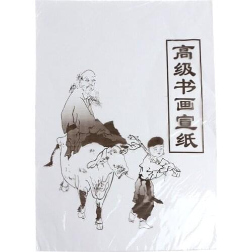 30Pcs Xuan Paper Chinese Raw Rice Paper Painting Calligraphy 49x34cm / 35cmx26cm WXTB