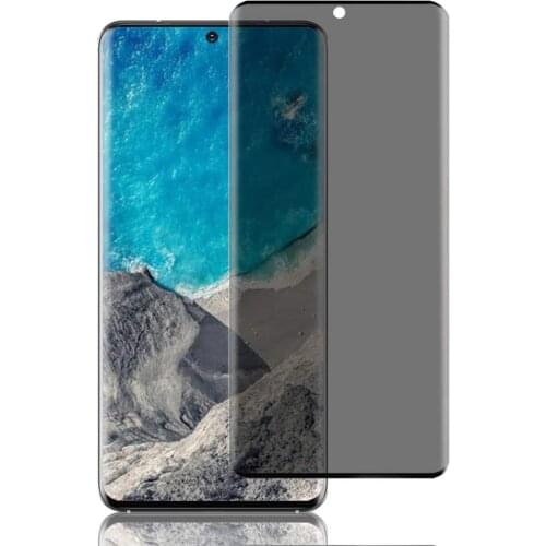 10pcs/lot Privacy tempered glass For Samsung galaxy S20 S10 Plus S9 S8 note10/9/8 note 20 ultra Screen Protector flim Full cover