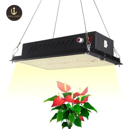 Indoor Farm 2021Folux x2 Board 240w Led Grow Light UV IR, Aerogarden Lm301H Grow Light Led Horticulture